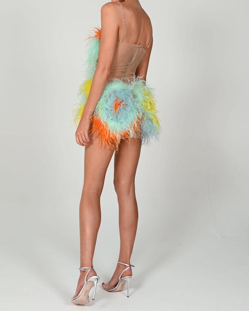 Attia Dress in Festival with Bespoke Net