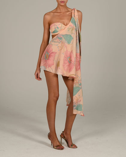 Anthia Dress in Anais
