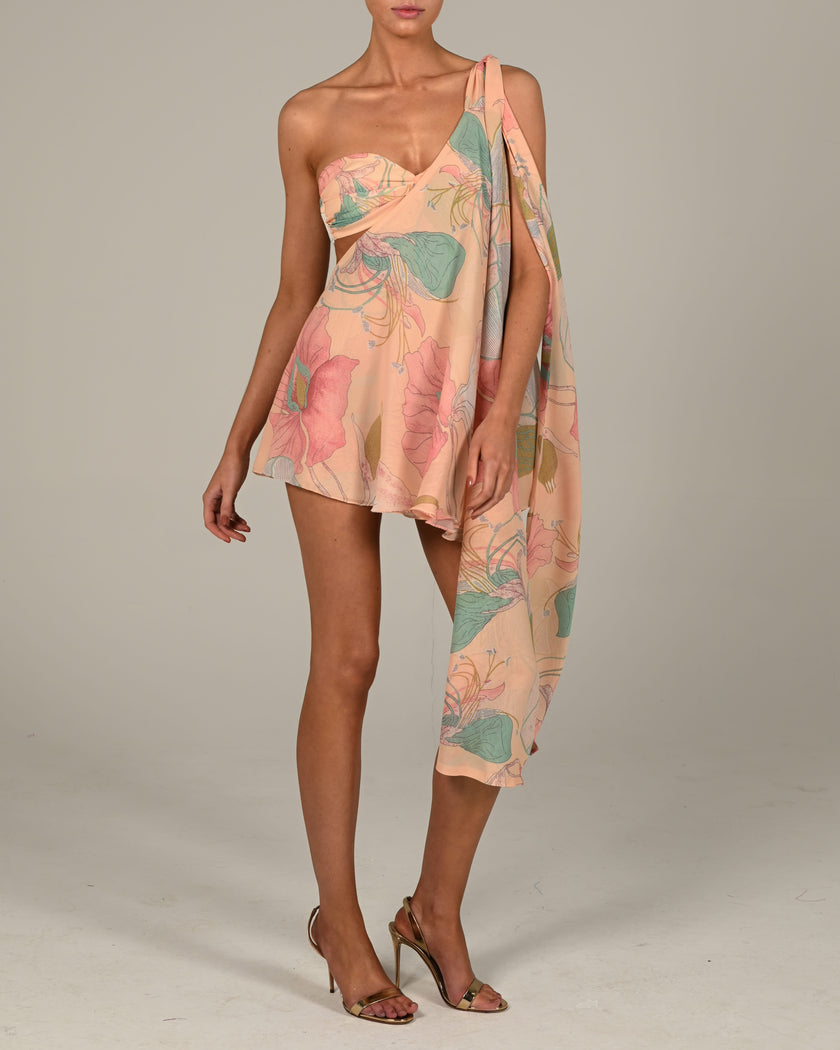 Anthia Dress in Anais