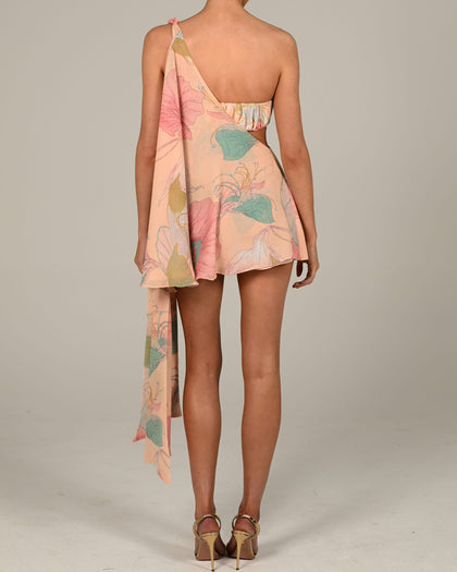 Anthia Dress in Anais