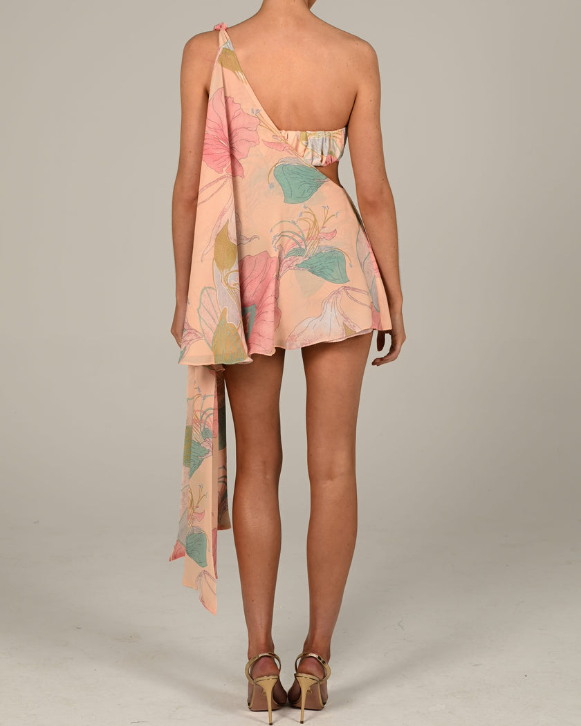 Anthia Dress in Anais