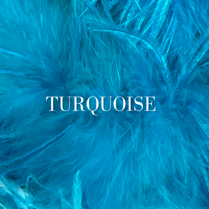 Attia Dress in Custom Feather