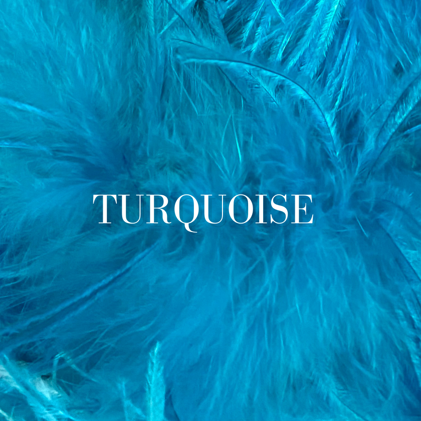 Attia Dress in Custom Feather