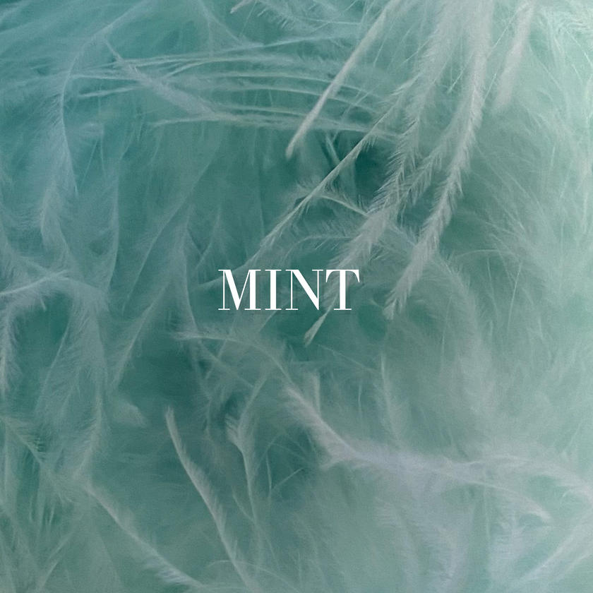 Attia Mini Skirt in Custom