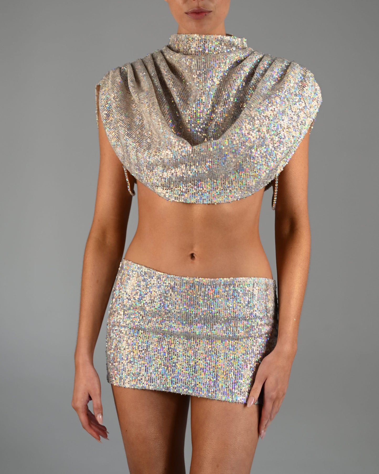 Antonia Low Waist Skirt in Crystal Sample Sale