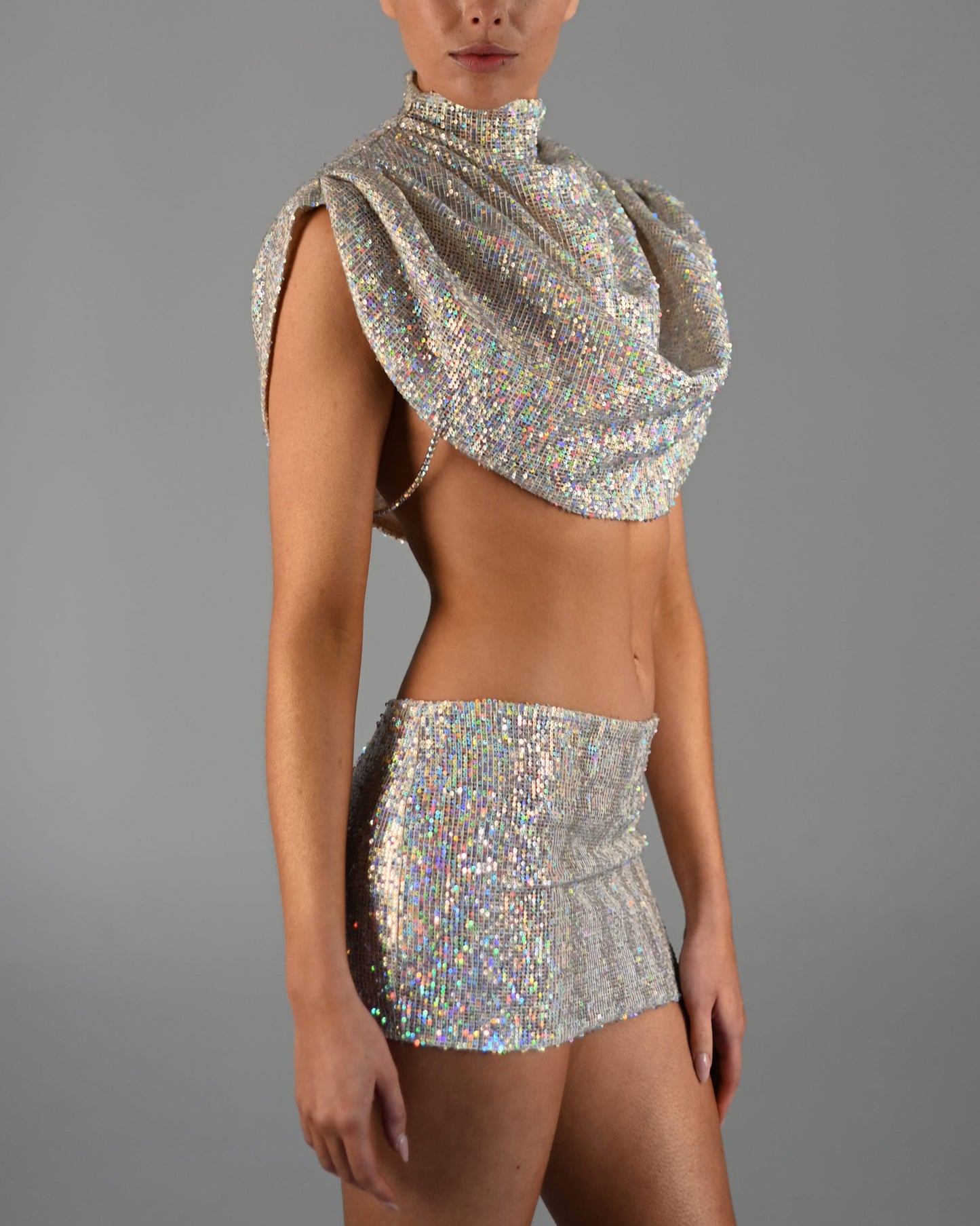 Antonia Low Waist Skirt in Crystal Sample Sale