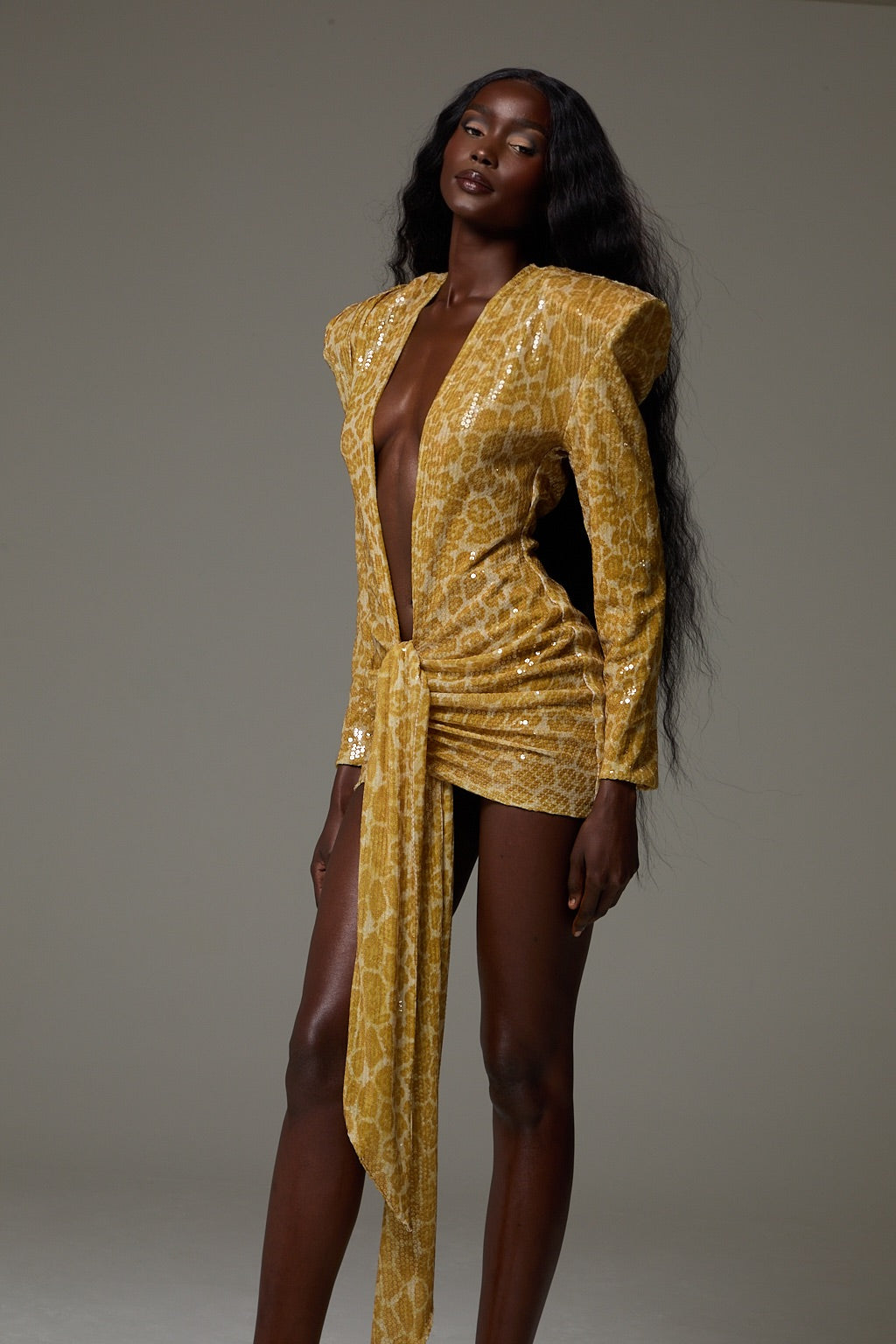 Mika Dress in Citrine Cheetah